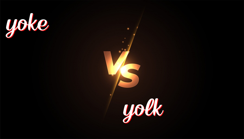 Egg-citing Difference: Yoke vs. Yolk