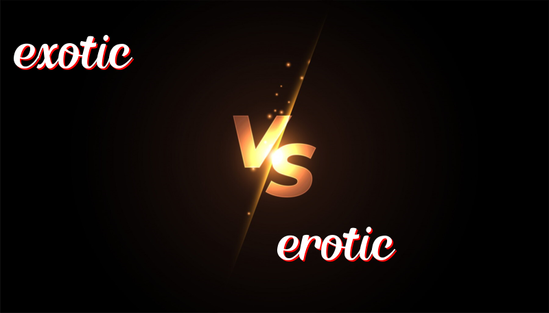 **Explaining Exotic and Erotic: Understand the Difference**