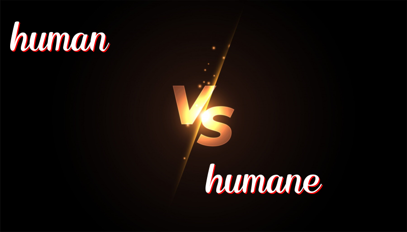 Difference Between “Human” and “Humane”: Meanings, Usage, and Examples