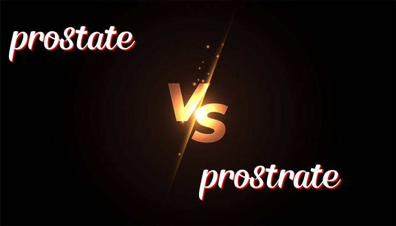 Understanding Prostate and Prostrate