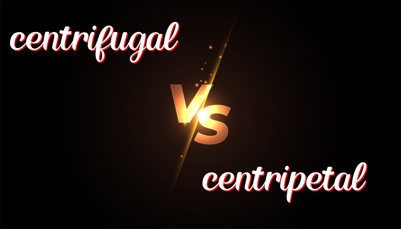 Understanding the Distinct Forces: Centrifugal and Centripetal