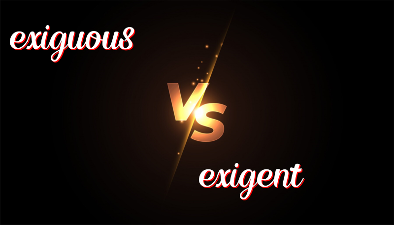 Understanding the Difference Between Exiguous and Exigent