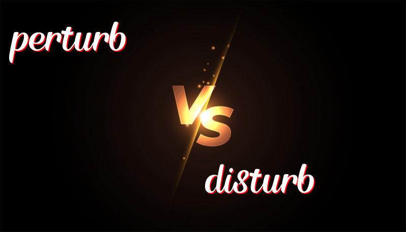 When Words Battle: The Perturbing Tale of Disturbance!