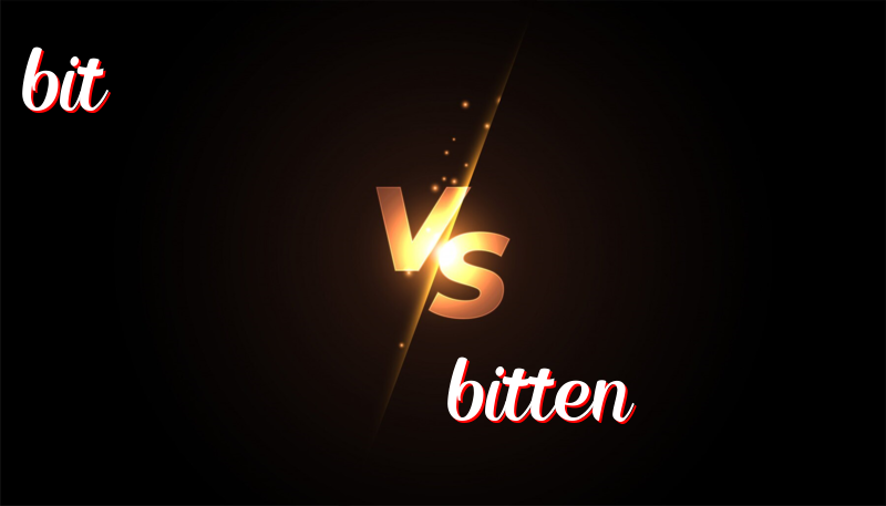 Differentiating Between “Bit” and “Bitten”: A Comprehensive Guide for Beginners