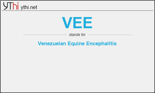 What does VEE mean? What is the full form of VEE?