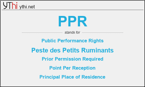 What does PPR mean? What is the full form of PPR?