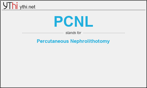 What does PCNL mean? What is the full form of PCNL?