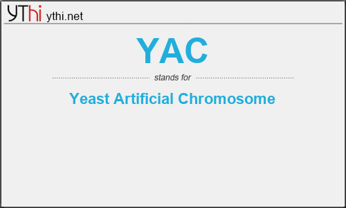 What does YAC mean? What is the full form of YAC?