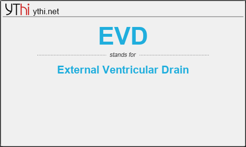 What does EVD mean? What is the full form of EVD?