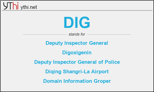 What does DIG mean? What is the full form of DIG?