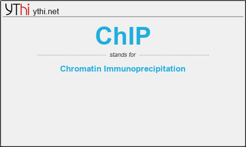 What does CHIP mean? What is the full form of CHIP?