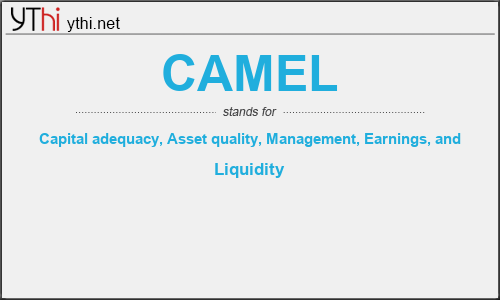 What does CAMEL mean? What is the full form of CAMEL?