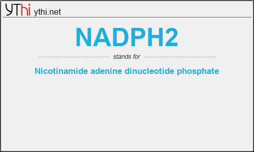 What does NADPH2 mean? What is the full form of NADPH2?