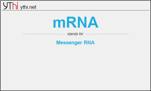 What does MRNA mean? What is the full form of MRNA?