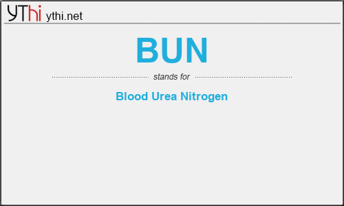 What does BUN mean? What is the full form of BUN?