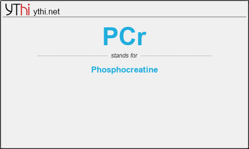 What does PCR mean? What is the full form of PCR?