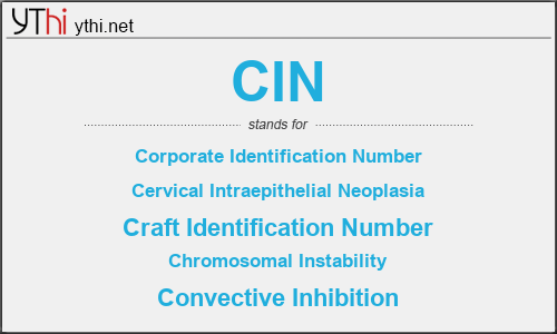 What does CIN mean? What is the full form of CIN?