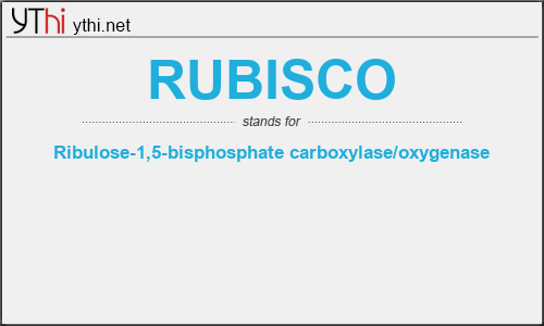 What does RUBISCO mean? What is the full form of RUBISCO?