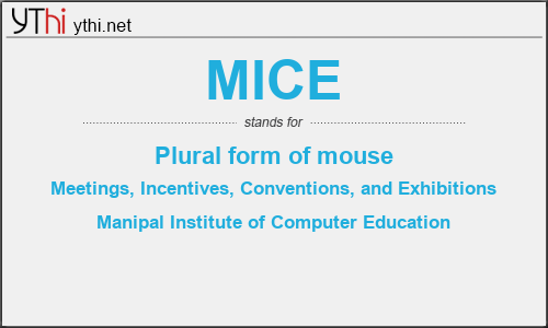 What does MICE mean? What is the full form of MICE?