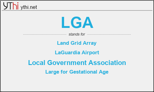 What does LGA mean? What is the full form of LGA?