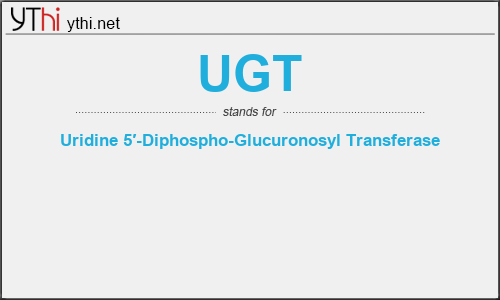 What does UGT mean? What is the full form of UGT?