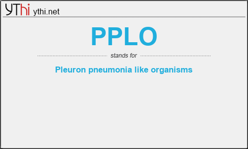 What does PPLO mean? What is the full form of PPLO?