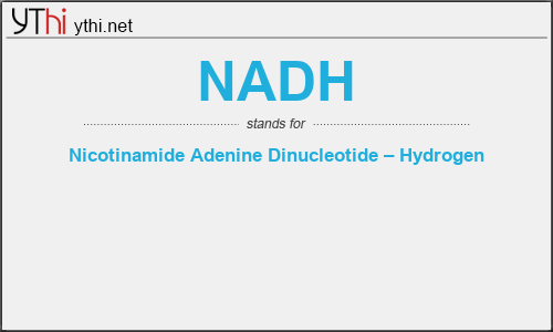 What does NADH mean? What is the full form of NADH?