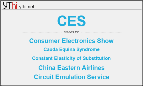 What does CES mean? What is the full form of CES?