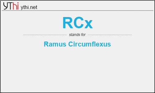 What does RCX mean? What is the full form of RCX?