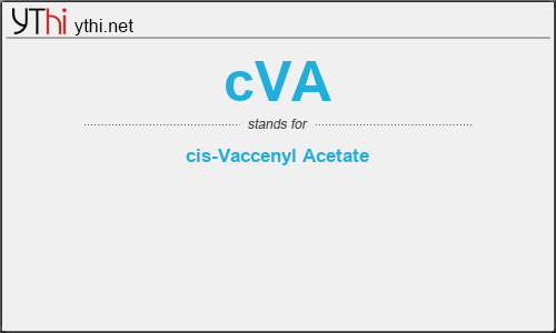 What does CVA mean? What is the full form of CVA?