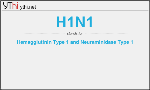 What does H1N1 mean? What is the full form of H1N1?