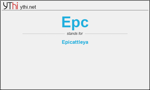 What does EPC mean? What is the full form of EPC?