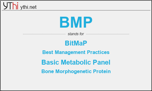 What does BMP mean? What is the full form of BMP?