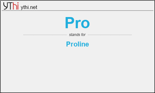 What does PRO mean? What is the full form of PRO?