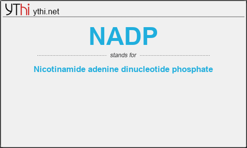 What does NADP mean? What is the full form of NADP?