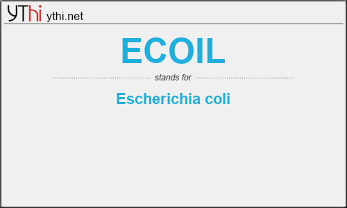 What does ECOIL mean? What is the full form of ECOIL?