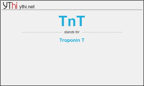 What does TNT mean? What is the full form of TNT?