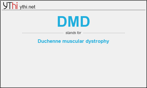 What does DMD mean? What is the full form of DMD?