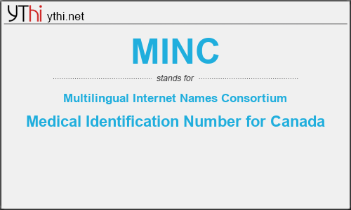 What does MINC mean? What is the full form of MINC?