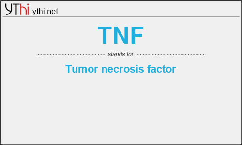 What does TNF mean? What is the full form of TNF?