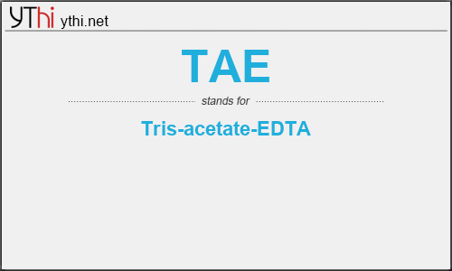 What does TAE mean? What is the full form of TAE?