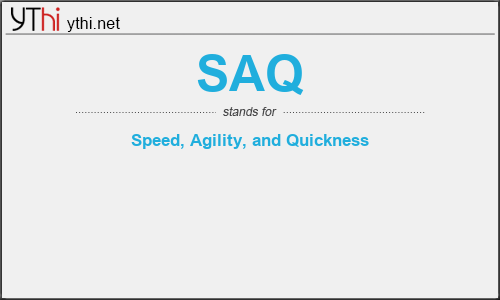 What does SAQ mean? What is the full form of SAQ?