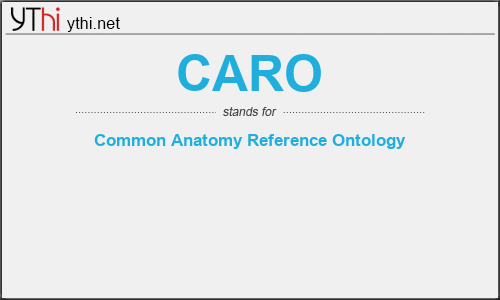 What does CARO mean? What is the full form of CARO?