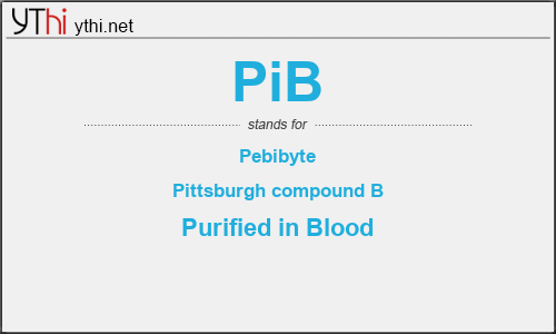 What does PIB mean? What is the full form of PIB?