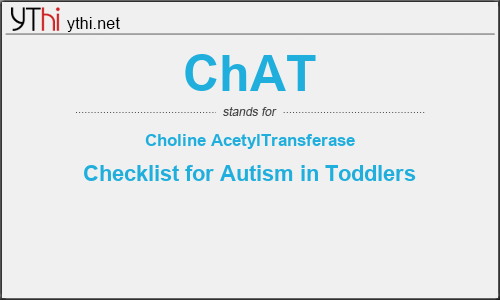 What does CHAT mean? What is the full form of CHAT?