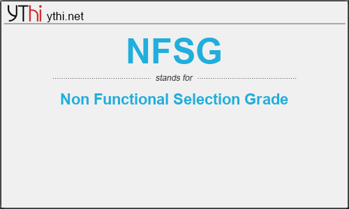 What does NFSG mean? What is the full form of NFSG?