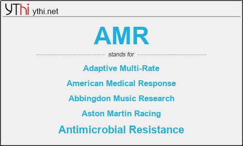 What does AMR mean? What is the full form of AMR?