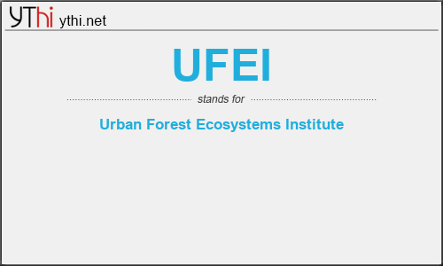 What does UFEI mean? What is the full form of UFEI?